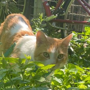 Meet your Posher, Maia